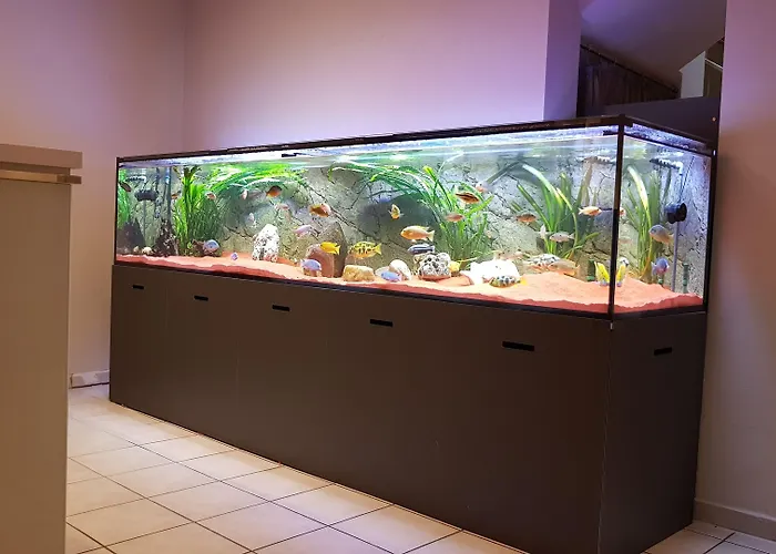 فندق Evabrunnen 3*