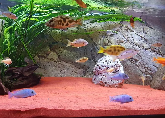 فندق Evabrunnen 3*